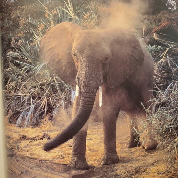 Book: The Art of Adventure Author: Galen Rowell Hardcover  Great Condition - Picture 9 of 9